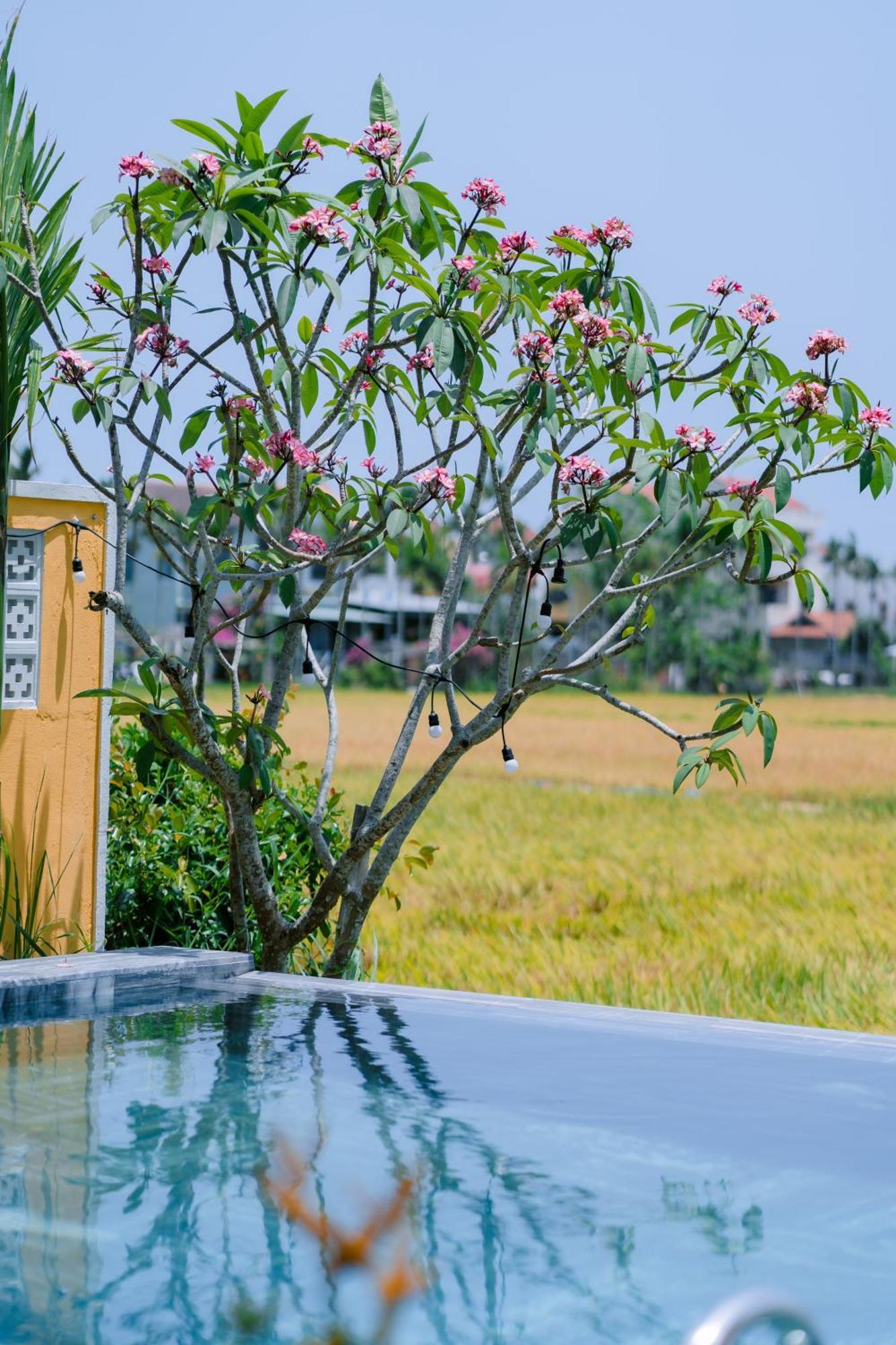 Bs Jade Home Hoi An Eksteriør billede